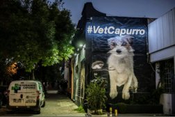 Veterinaria Capurro & Peluquería Canina