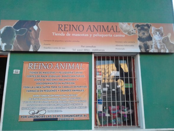 Reino Animal. Clínica Veterinaria: opiniones, fotos, número de teléfono y  dirección de Clínicas veterinarias (Minas) 